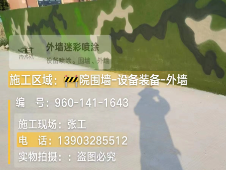 张家界 迷彩漆喷涂价格（按平方米计费）